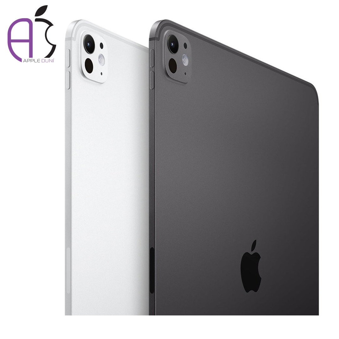 iPad Pro 2024 M4 11" Wi-Fi 1t